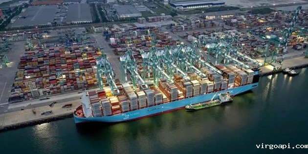 2024年集装箱航运行业意外迎来高光